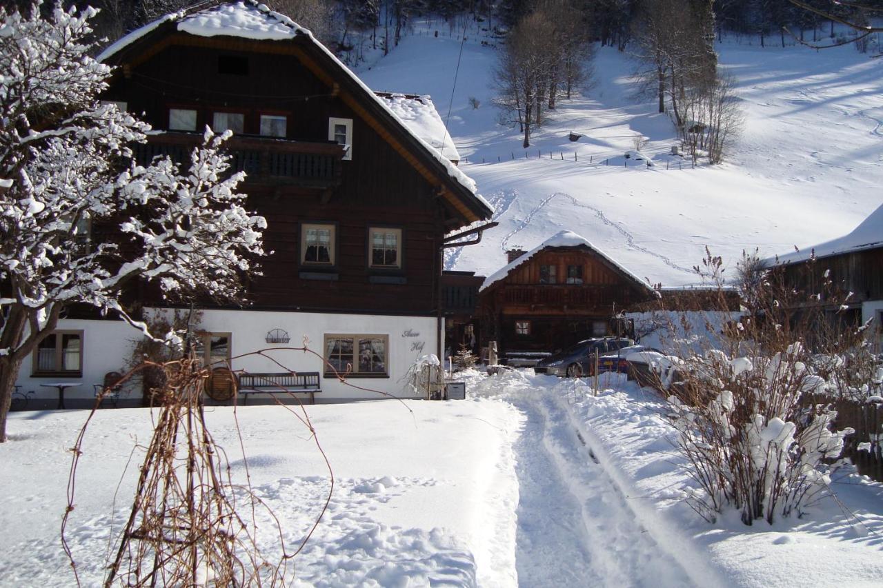 Villa Auerhof à Schladming Extérieur photo