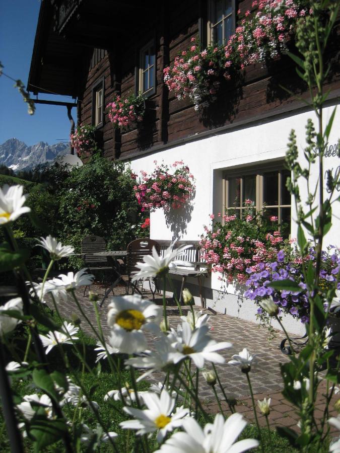 Villa Auerhof à Schladming Extérieur photo