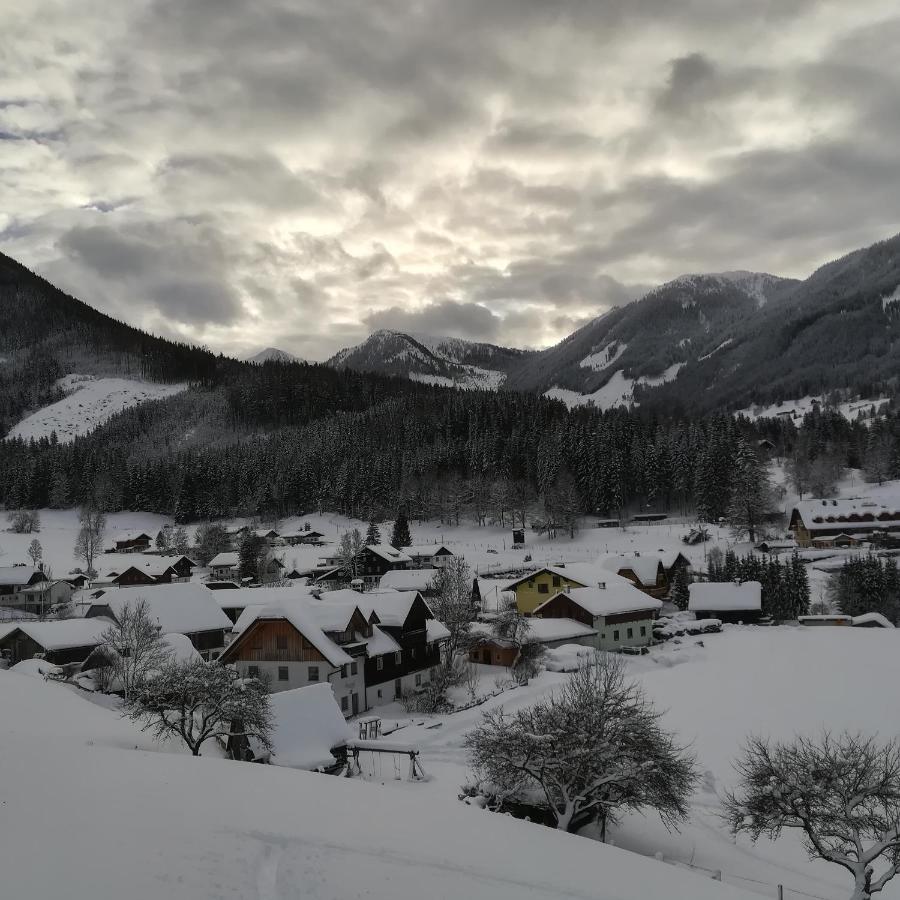 Villa Auerhof à Schladming Extérieur photo