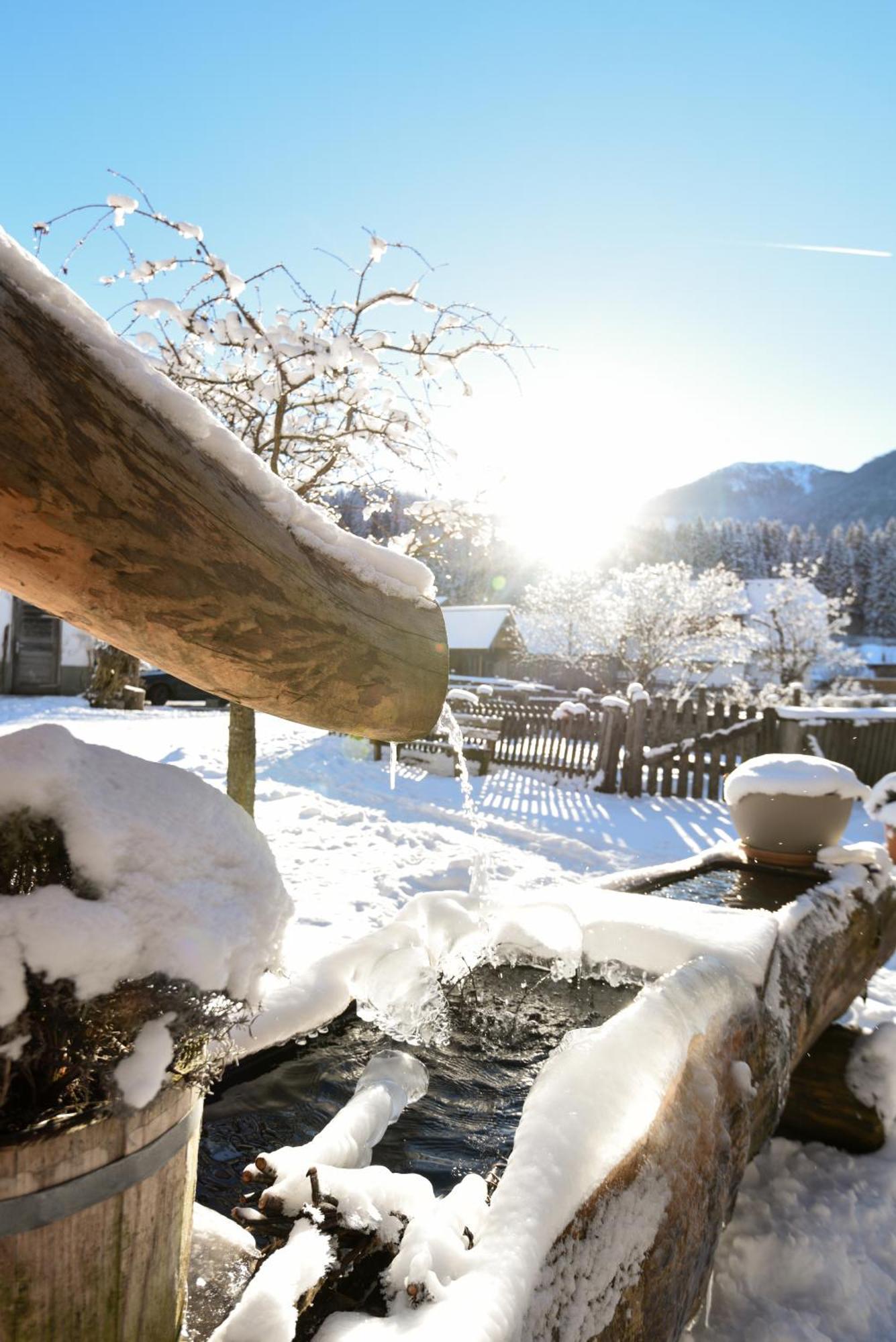Villa Auerhof à Schladming Extérieur photo