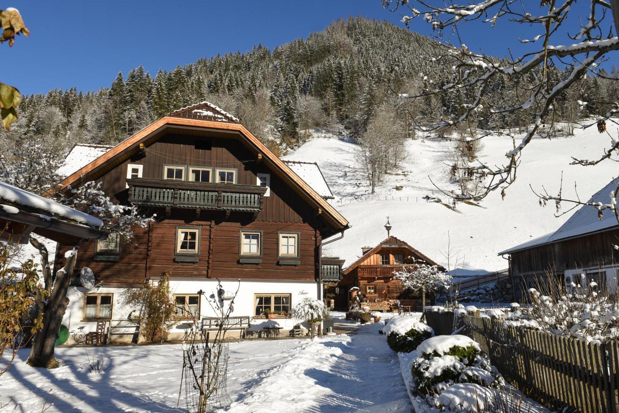 Villa Auerhof à Schladming Extérieur photo