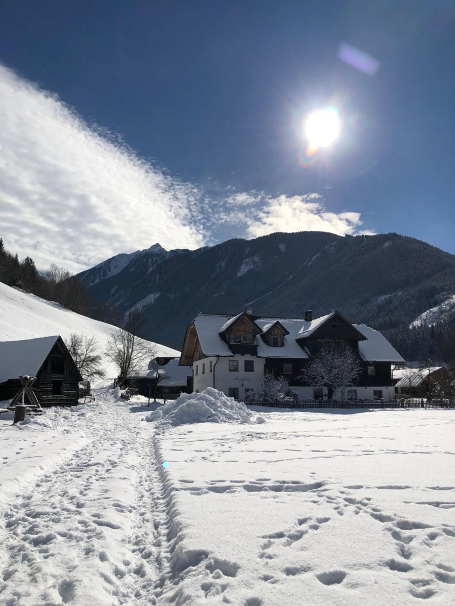 Villa Auerhof à Schladming Extérieur photo