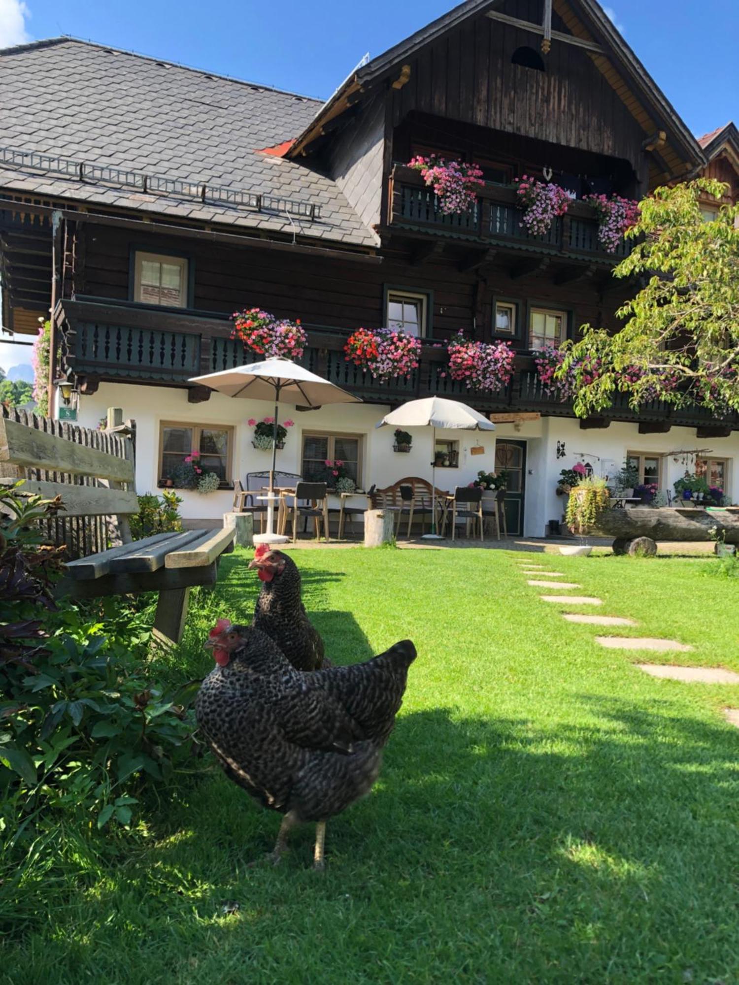 Villa Auerhof à Schladming Extérieur photo